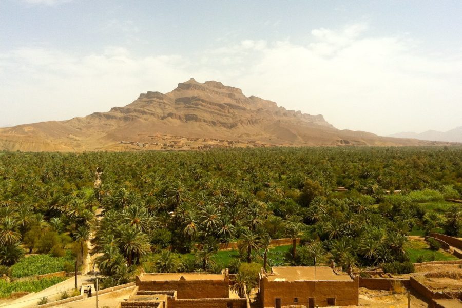 2 Day Desert Adventure Marrakech to Zagora