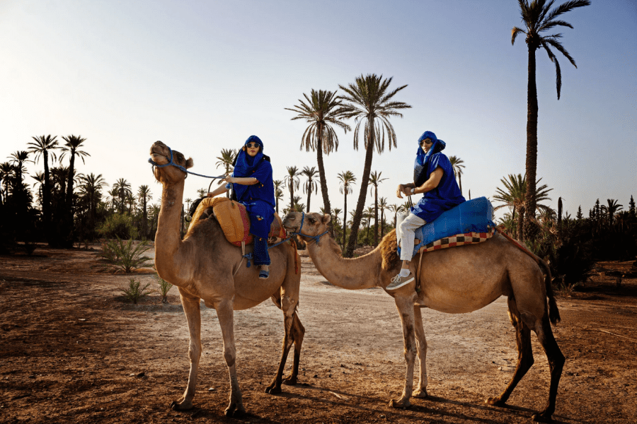 1 Hour Camel Ride in Marrakech Palmeraie