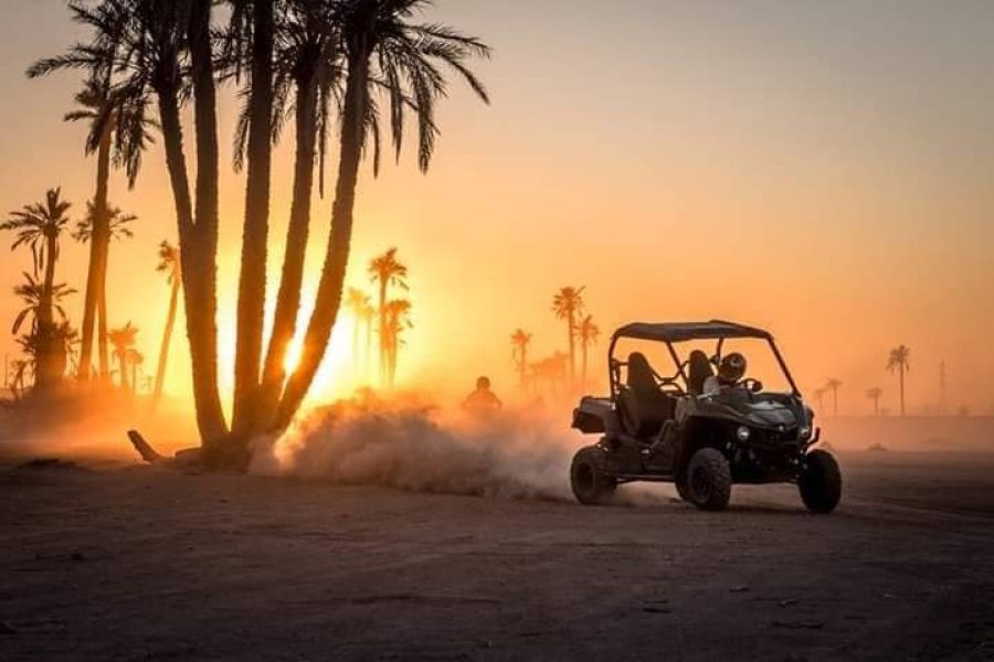 1 Hour Quad Biking Adventure in Marrakech’s Palm Grove