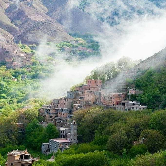 Uncover the Soul of Morocco with Expert-Led Tours