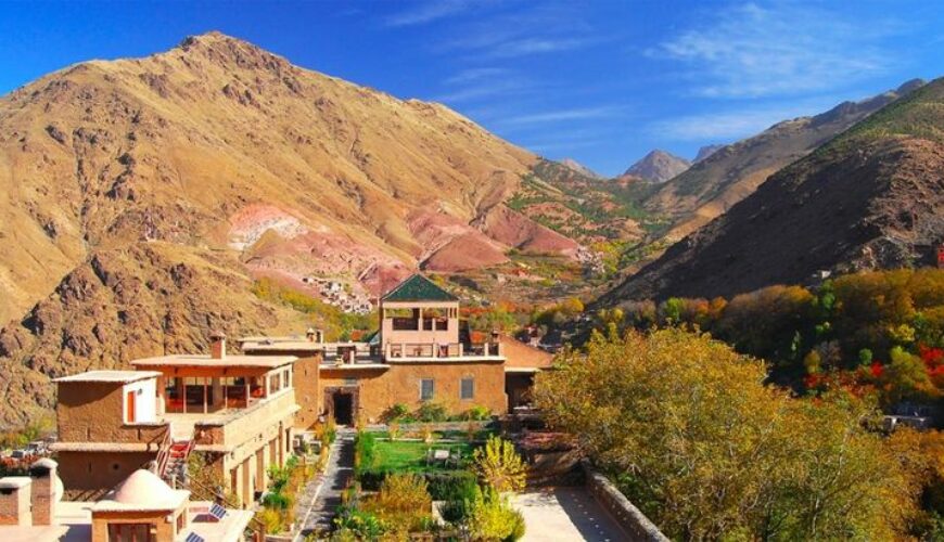 Culinary Journeys and Cultural Immersion – Tours Morocco Beyond Sightseeing