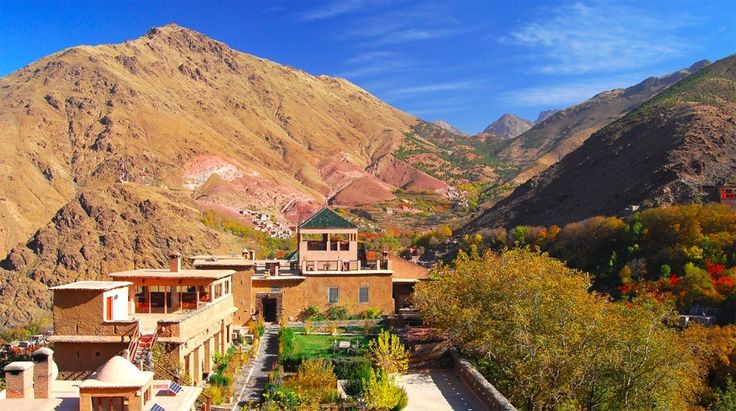 Culinary Journeys and Cultural Immersion – Tours Morocco Beyond Sightseeing