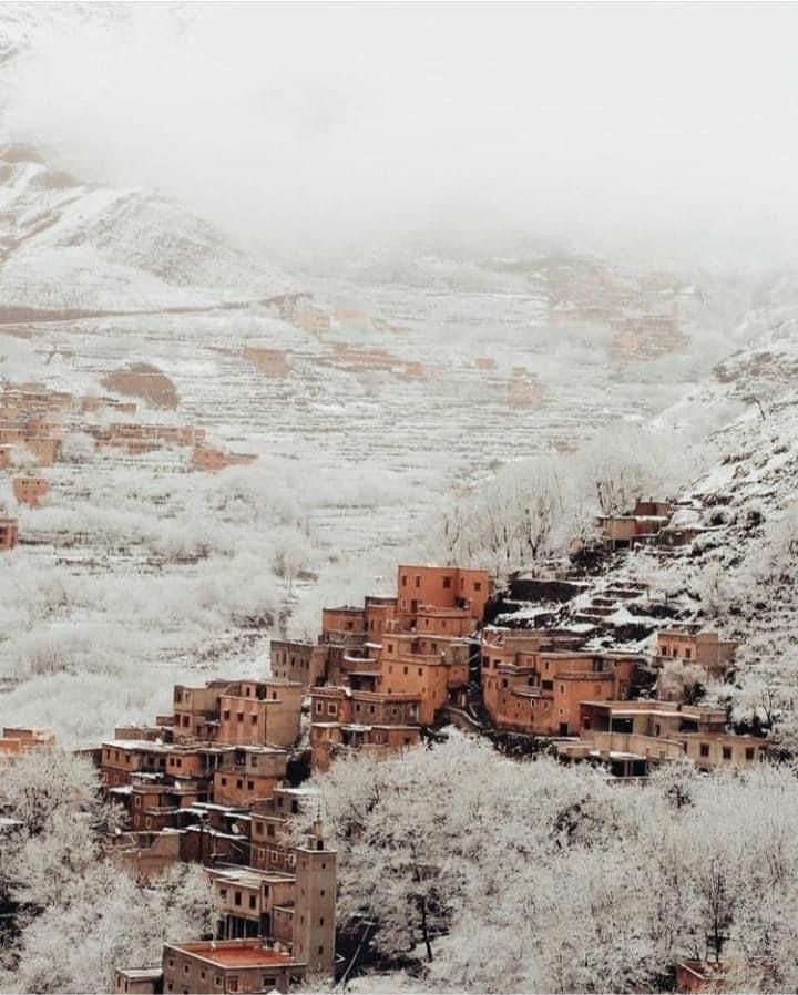 The Ultimate Guide to Authentic Tours from Marrakech