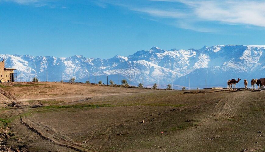 Why Morocco Tours: Journey Through History, Culture & Desert Wonders