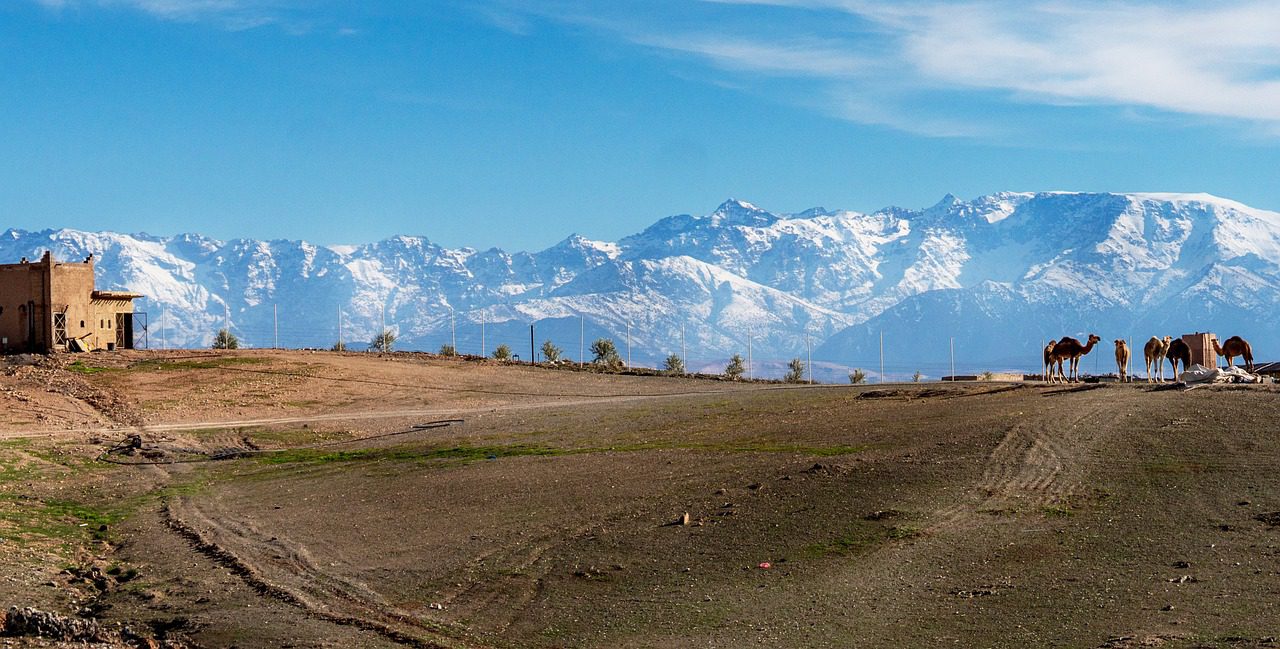 Why Morocco Tours: Journey Through History, Culture & Desert Wonders