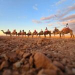 Explore beyond expectations with Why Morocco Tours