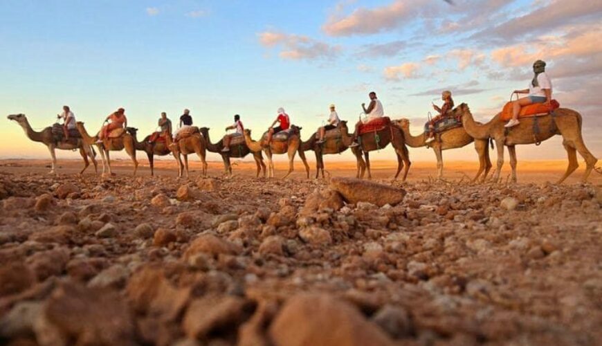 Explore beyond expectations with Why Morocco Tours