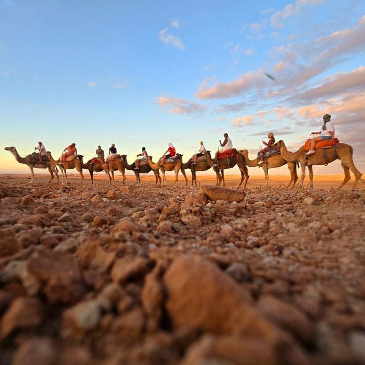 Explore beyond expectations with Why Morocco Tours