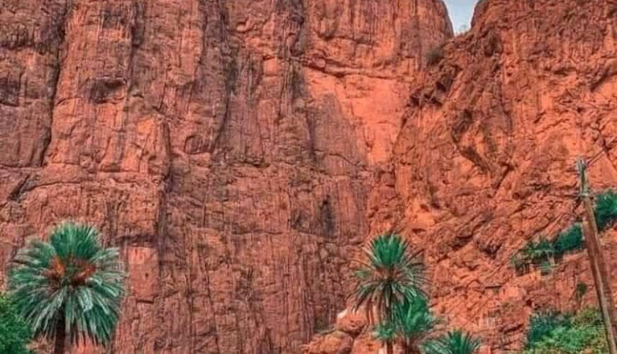 Beyond the Brochure: Unique Tours Morocco Crafted with a Personal Touch