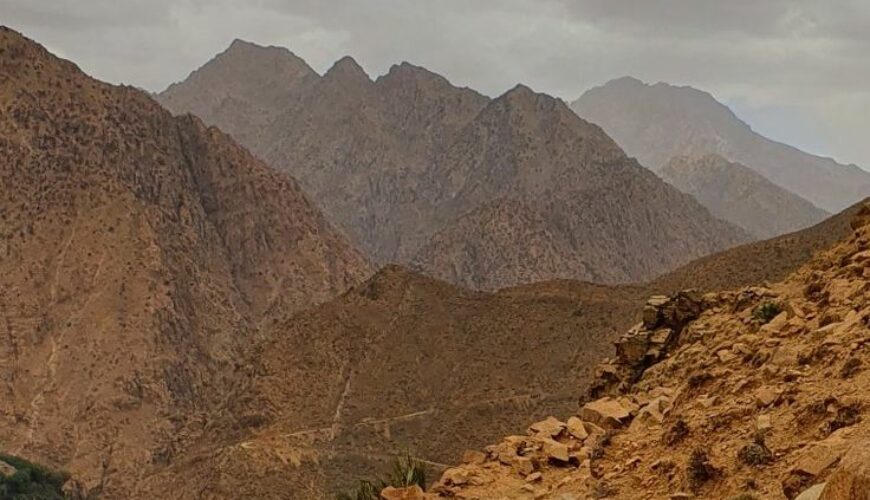 Uncover the Hidden Soul of Morocco with Expertly Guided Tours from Marrakech