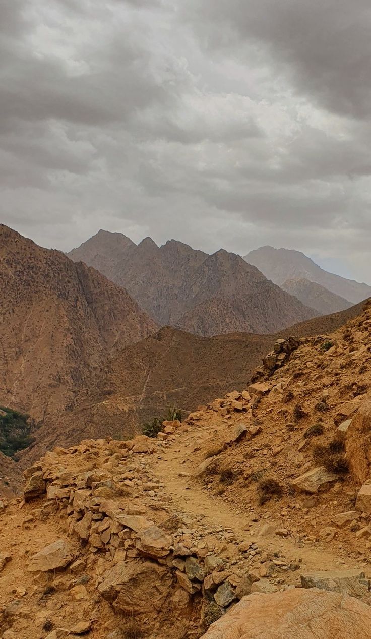 Uncover the Hidden Soul of Morocco with Expertly Guided Tours from Marrakech