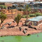 Unveiling Morocco: From Marrakech to the Magic of the Sahara