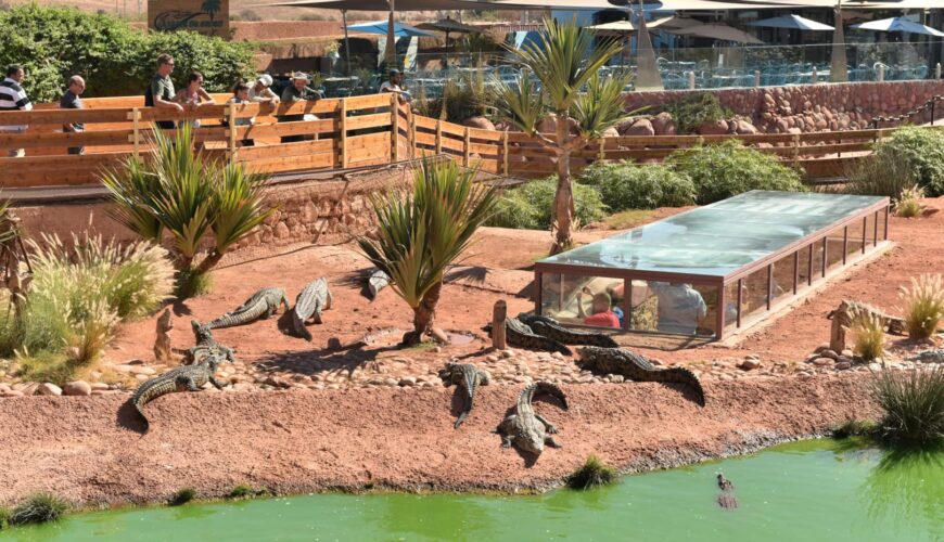 Unveiling Morocco: From Marrakech to the Magic of the Sahara