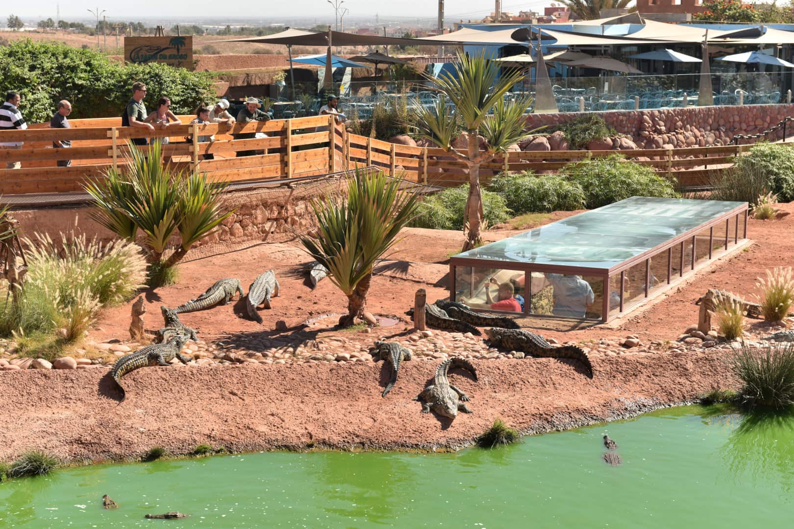 Unveiling Morocco: From Marrakech to the Magic of the Sahara
