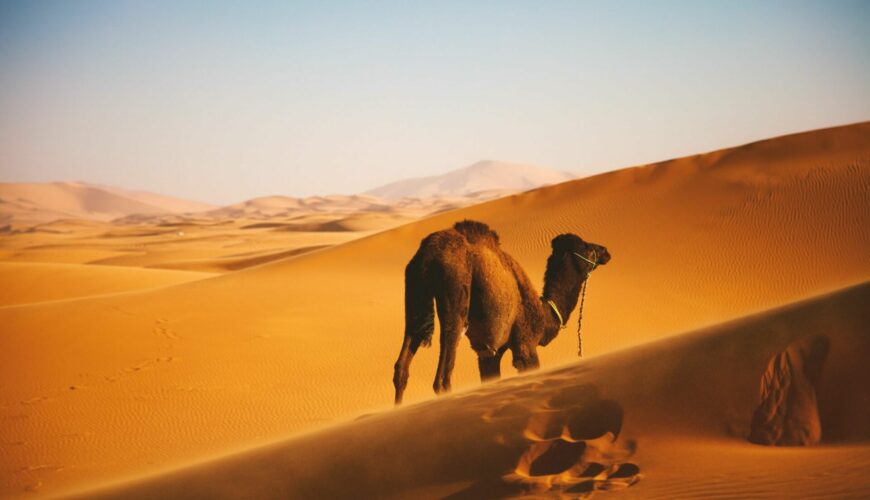 Beyond the Souks: Cultural Journeys through Morocco’s Hidden Gems