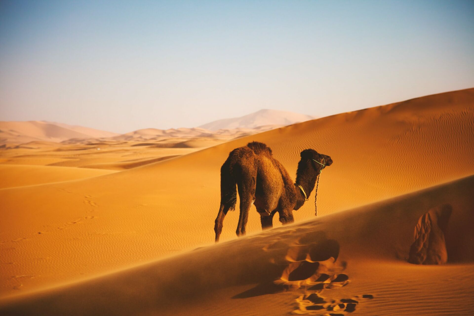 Beyond the Souks: Cultural Journeys through Morocco’s Hidden Gems