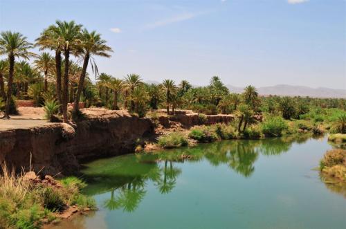 Draa Valley04